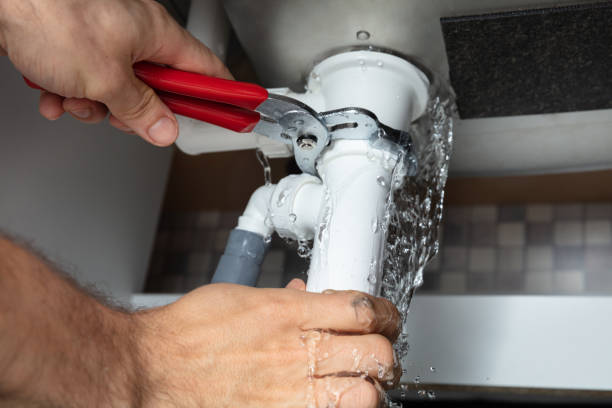 Best Water damage cleanup near me  in Trenton, NJ