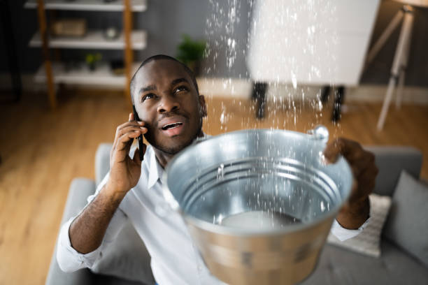 Best Water damage restoration near me  in Trenton, NJ