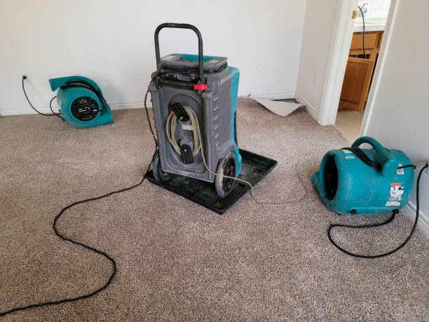 Best Water damage restoration specialists  in Trenton, NJ