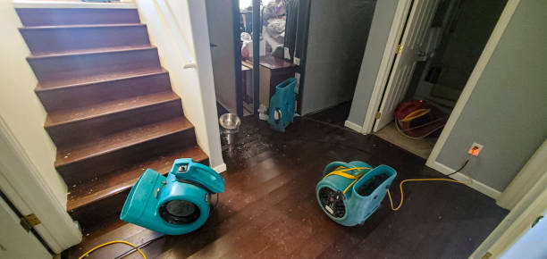 Best Water damage restoration near me  in Trenton, NJ
