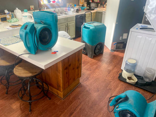 Best Local water damage restoration  in Trenton, NJ