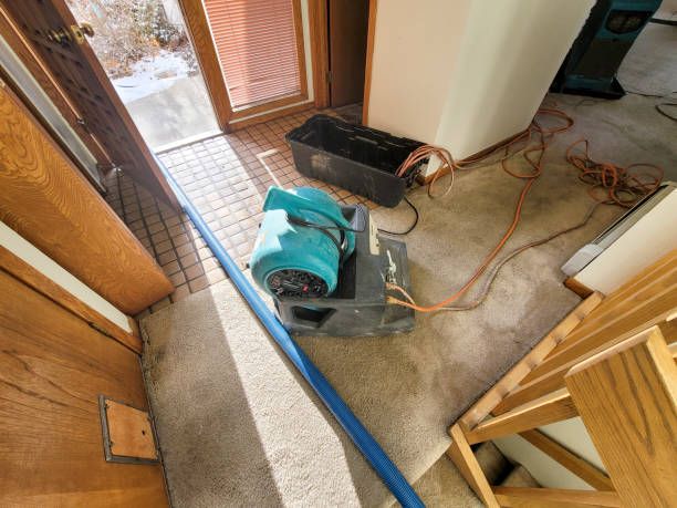 Best Residential water damage restoration  in Trenton, NJ