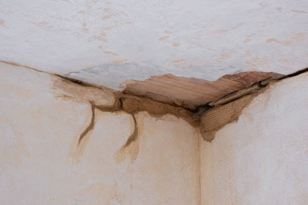 Best Flooded house restoration  in Trenton, NJ