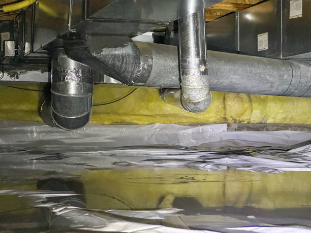 Best Flood restoration services  in Trenton, NJ