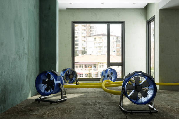 Best 24-hour water damage restoration  in Trenton, NJ